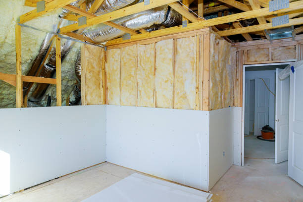 Best Spray Foam Insulation  in Lillington, NC