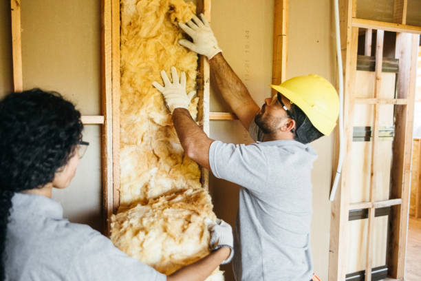 Attic Insulation Near Me in Lillington, NC