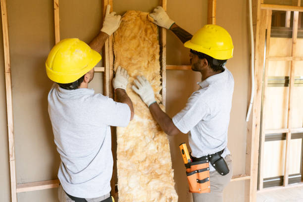 Best Insulation Replacement Services  in Lillington, NC