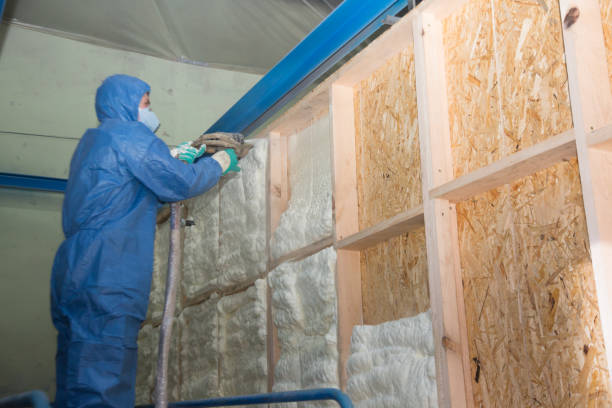 Best Attic Insulation Installation  in Lillington, NC