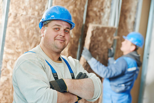 Best Soundproof Insulation Installation  in Lillington, NC
