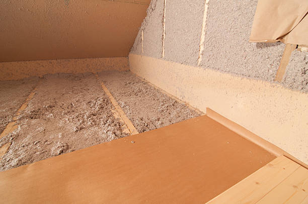 Best Professional Insulation Contractor  in Lillington, NC