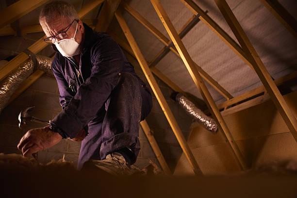 Professional Insulation Contractor in Lillington, NC