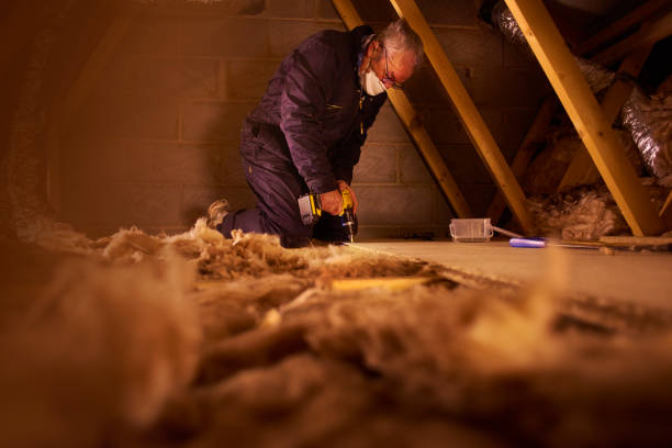 Best Energy-efficient Insulation  in Lillington, NC